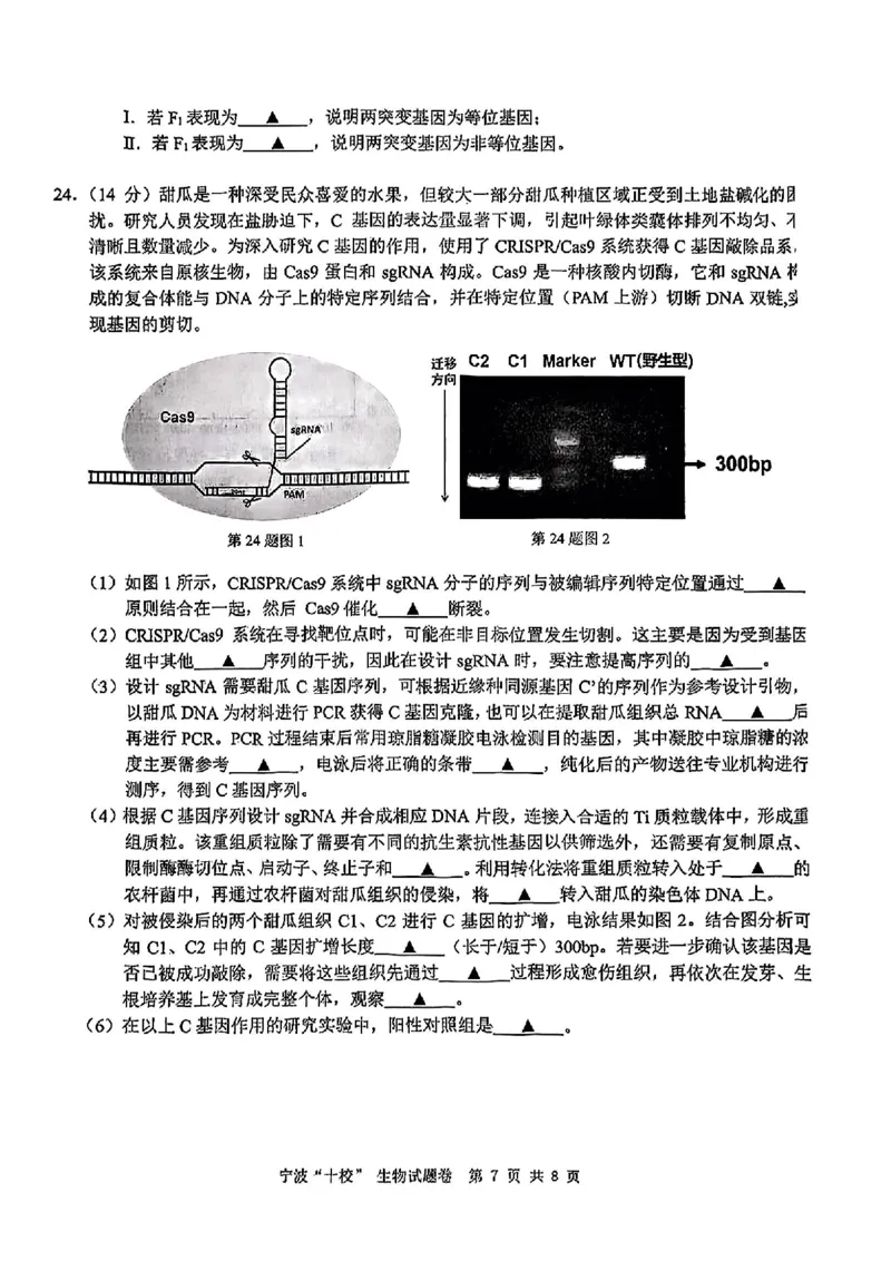 生物试卷_2025年3月_250314浙江省宁波市宁波&ldquo;十校&rdquo;2025届高三3月联考（全科）_浙江省宁波十校联考2024-2025学年高三下学期3月联考生物