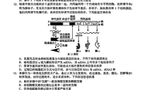 生物试卷_2025年3月_250314浙江省宁波市宁波&ldquo;十校&rdquo;2025届高三3月联考（全科）_浙江省宁波十校联考2024-2025学年高三下学期3月联考生物