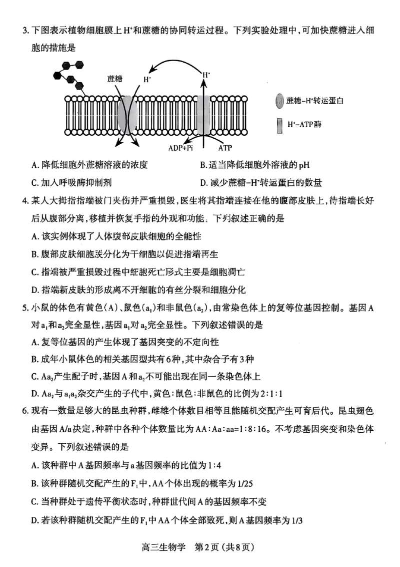 生物试卷_2025年11月_251119山西太原2025-2026学年第一学期高三年级期中学业诊断（全科）_山西太原2025-2026学年第一学期高三年级期中学业诊断生物