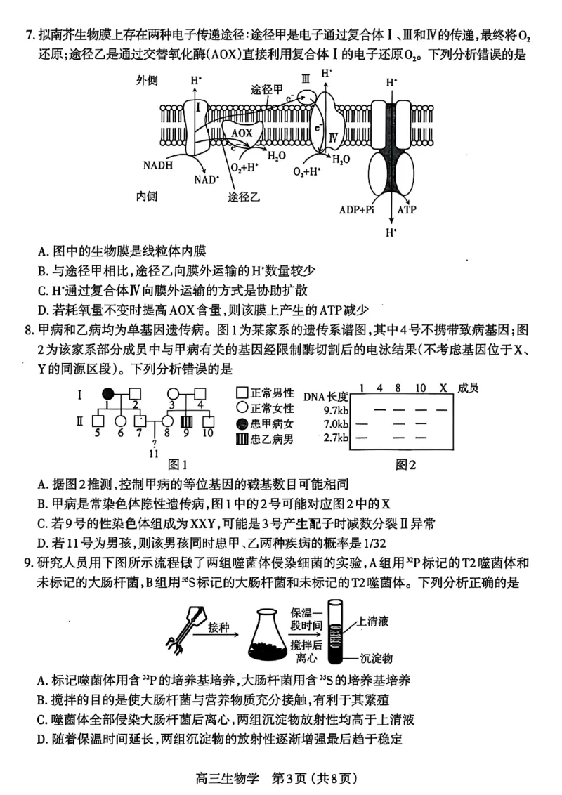生物试卷_2025年11月_251119山西太原2025-2026学年第一学期高三年级期中学业诊断（全科）_山西太原2025-2026学年第一学期高三年级期中学业诊断生物