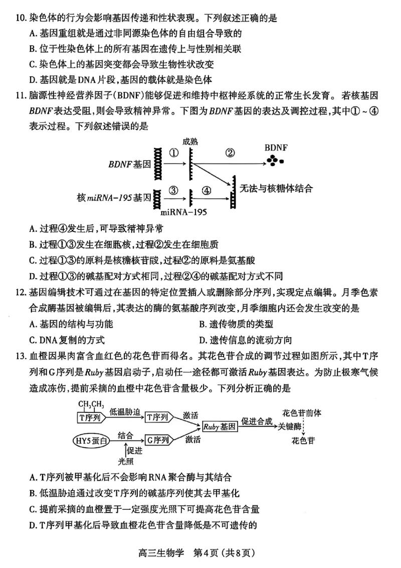 生物试卷_2025年11月_251119山西太原2025-2026学年第一学期高三年级期中学业诊断（全科）_山西太原2025-2026学年第一学期高三年级期中学业诊断生物