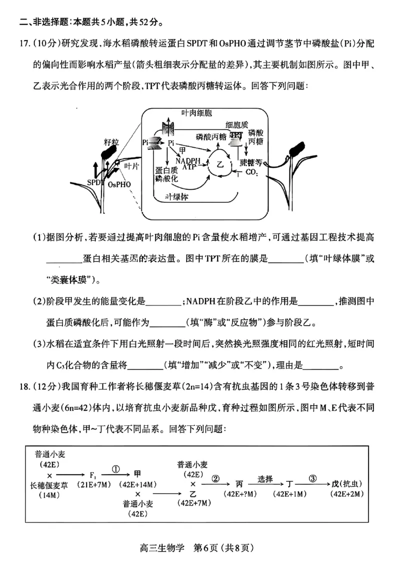 生物试卷_2025年11月_251119山西太原2025-2026学年第一学期高三年级期中学业诊断（全科）_山西太原2025-2026学年第一学期高三年级期中学业诊断生物