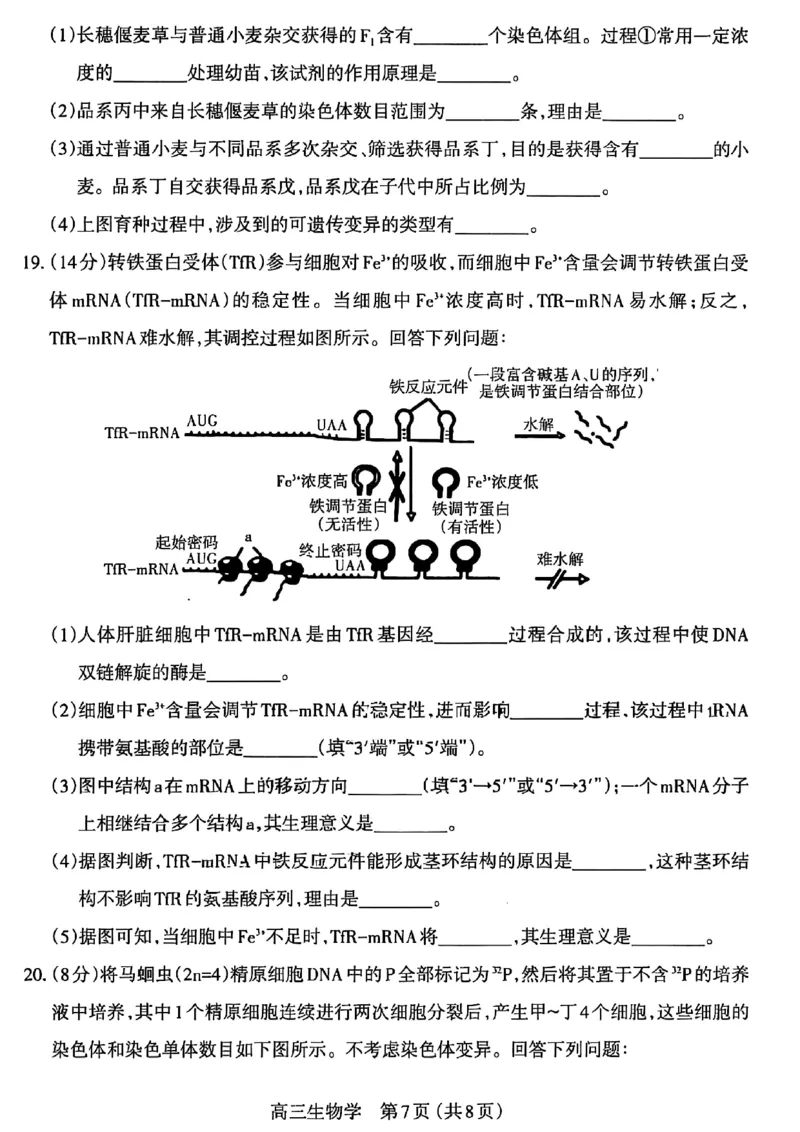 生物试卷_2025年11月_251119山西太原2025-2026学年第一学期高三年级期中学业诊断（全科）_山西太原2025-2026学年第一学期高三年级期中学业诊断生物