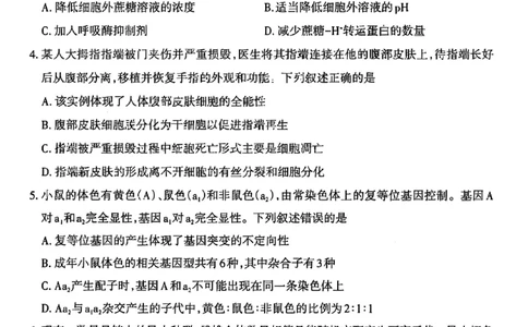 生物试卷_2025年11月_251119山西太原2025-2026学年第一学期高三年级期中学业诊断（全科）_山西太原2025-2026学年第一学期高三年级期中学业诊断生物