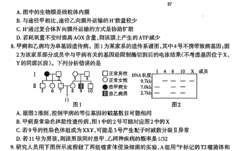 生物试卷_2025年11月_251119山西太原2025-2026学年第一学期高三年级期中学业诊断（全科）_山西太原2025-2026学年第一学期高三年级期中学业诊断生物