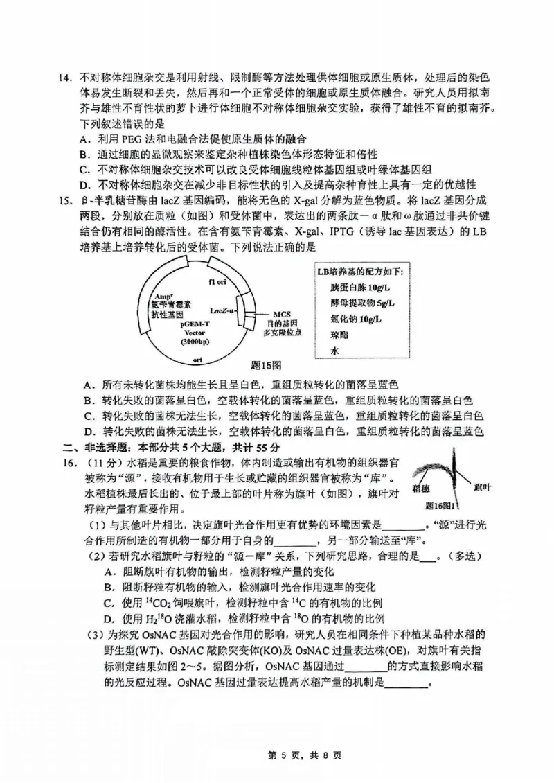 重庆市2025届学业质量调研抽测（第二次）生物_2025年4月_250421重庆市高2025届学业质量调研抽测（第二次）（主城五区二诊）（全科）_重庆市高2025届学业质量调研抽测（第二次）生物