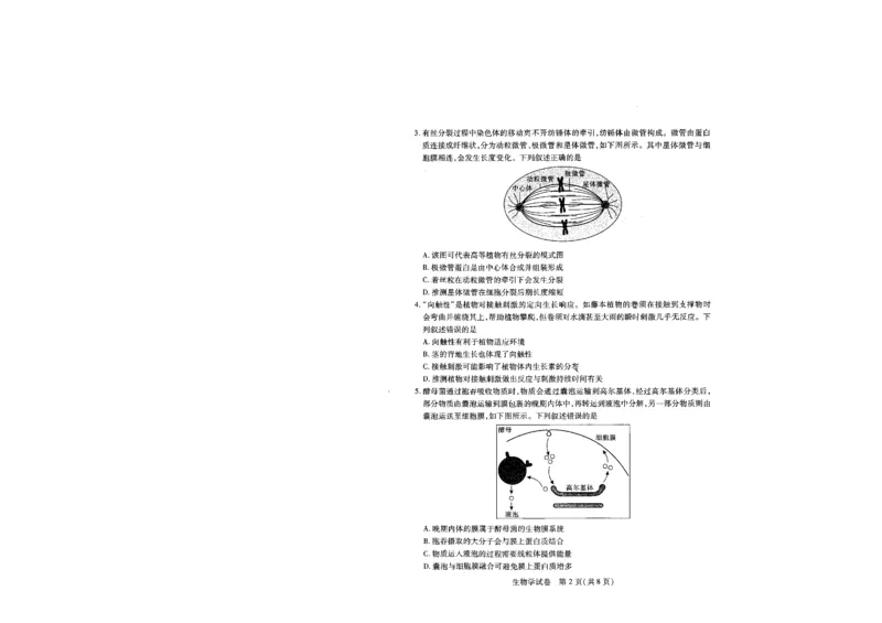 生物试卷（A4版）_2025年5月_2505242025届湖北省武汉市高三五月模拟训练（全科）_生物