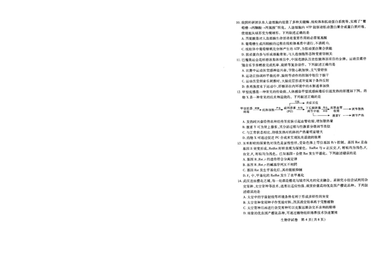 生物试卷（A4版）_2025年5月_2505242025届湖北省武汉市高三五月模拟训练（全科）_生物