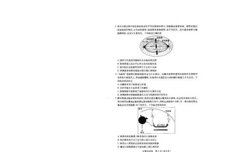 生物试卷（A4版）_2025年5月_2505242025届湖北省武汉市高三五月模拟训练（全科）_生物