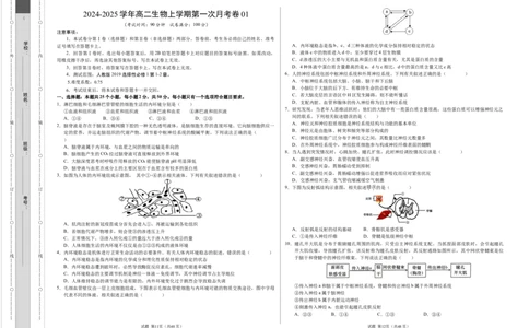 高二生物第一次月考卷01（A3考试版）测试范围：选择性必修1第1~2章（新高考通用）(1)_1多考区联考