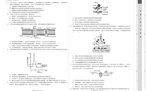 高二生物第一次月考卷01（A3考试版）测试范围：选择性必修1第1~2章（新高考通用）(1)_1多考区联考