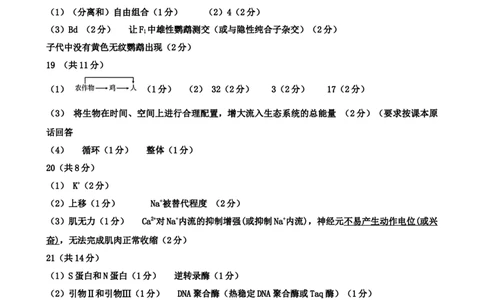 河南省实验中学2024-2025学年高三下学期第四次模拟考试生物答案_2025年5月_250527河南省实验中学2024-2025学年高三下学期第四次模拟考试（全科）