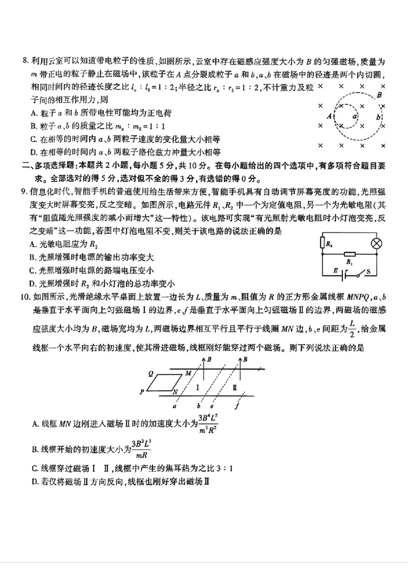安徽省皖江名校联盟2025届高三最后一卷物理试题（含答案）_2025年5月_250519安徽省皖江名校联盟2025届高三最后一卷（全科）
