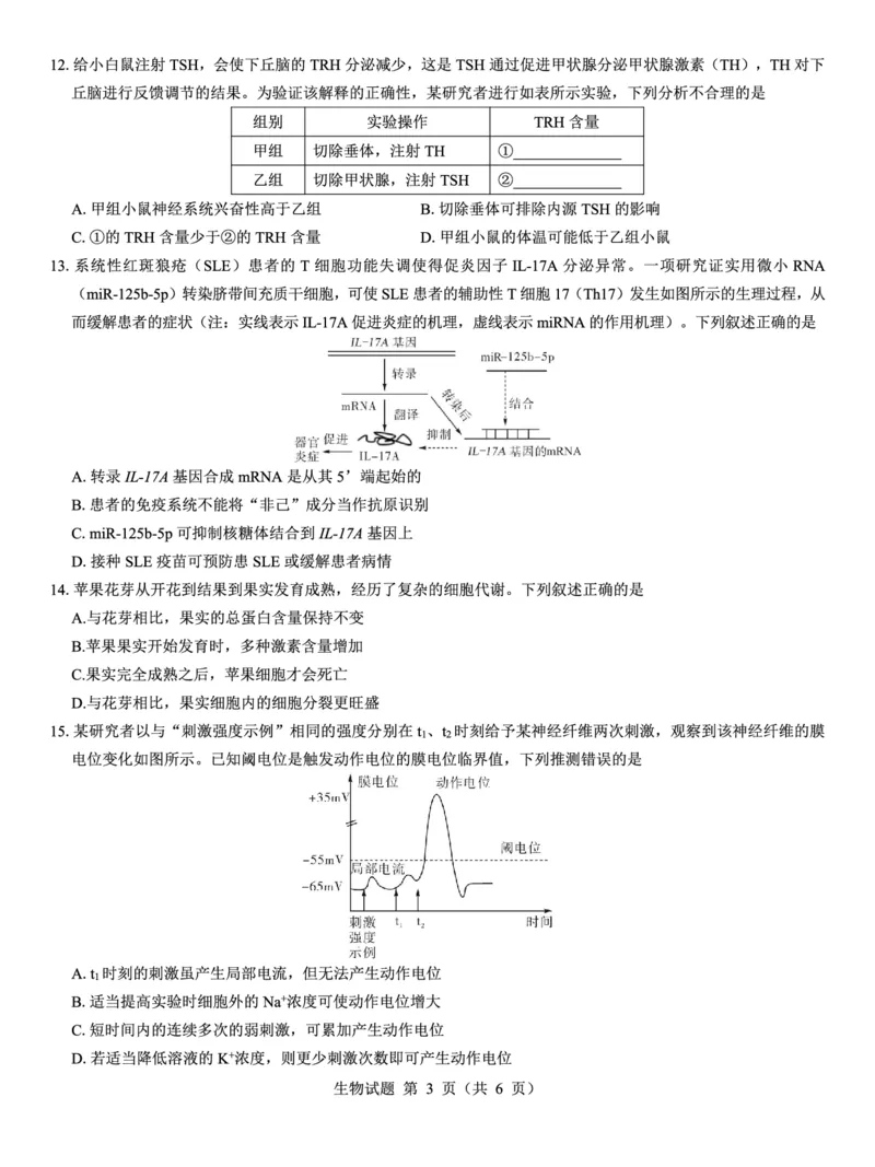 西北名校教研联盟2025届高三下学期2月联考生物试卷（含解析）_2025年2月_250226西北名校教研联盟2025届高三下学期2月联考（全科）