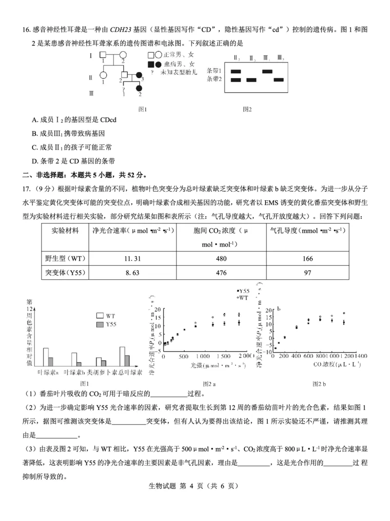 西北名校教研联盟2025届高三下学期2月联考生物试卷（含解析）_2025年2月_250226西北名校教研联盟2025届高三下学期2月联考（全科）