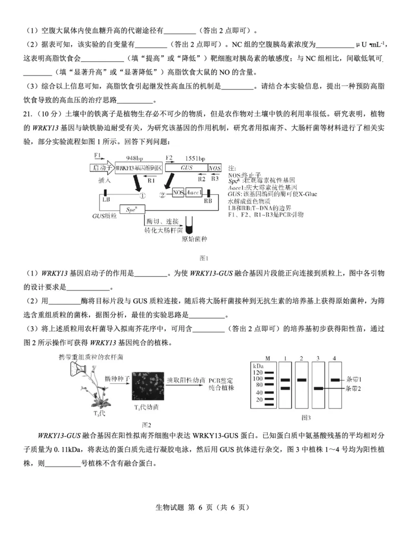 西北名校教研联盟2025届高三下学期2月联考生物试卷（含解析）_2025年2月_250226西北名校教研联盟2025届高三下学期2月联考（全科）