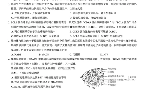 西北名校教研联盟2025届高三下学期2月联考生物试卷（含解析）_2025年2月_250226西北名校教研联盟2025届高三下学期2月联考（全科）