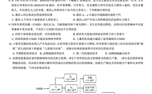 西北名校教研联盟2025届高三下学期2月联考生物试卷（含解析）_2025年2月_250226西北名校教研联盟2025届高三下学期2月联考（全科）
