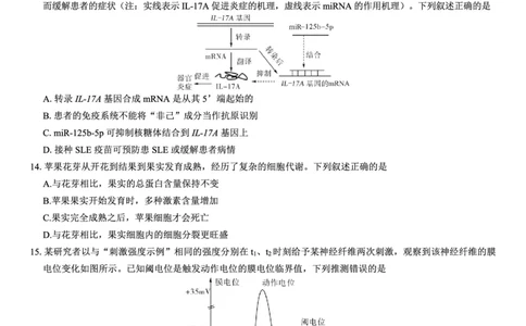 西北名校教研联盟2025届高三下学期2月联考生物试卷（含解析）_2025年2月_250226西北名校教研联盟2025届高三下学期2月联考（全科）