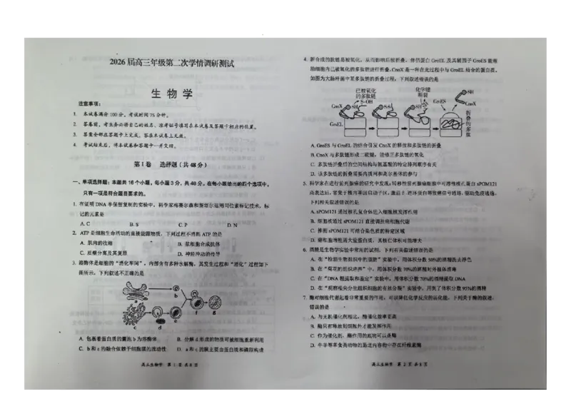 生物_2025年11月_251124山西省大同市2025-2026学年高三上学期期中考试（全科）_山西省大同市2025-2026学年高三上学期第二次学情调研测试生物试题（含答案）