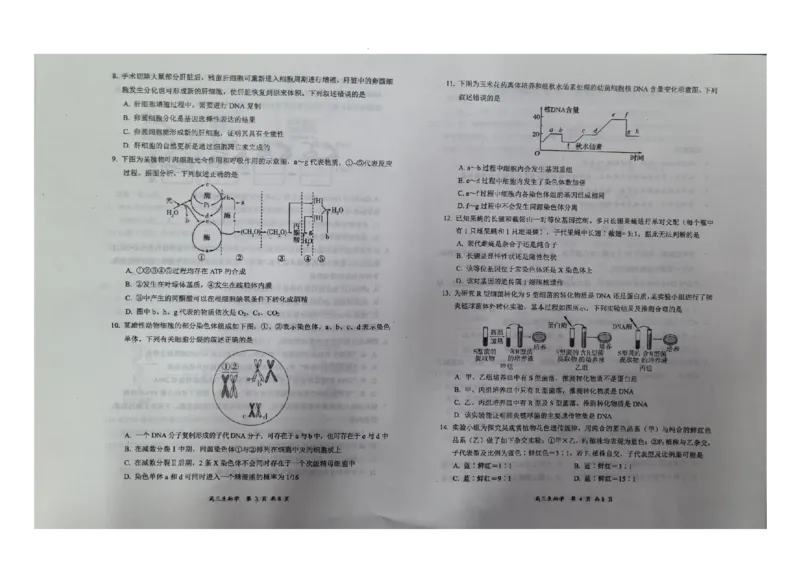 生物_2025年11月_251124山西省大同市2025-2026学年高三上学期期中考试（全科）_山西省大同市2025-2026学年高三上学期第二次学情调研测试生物试题（含答案）