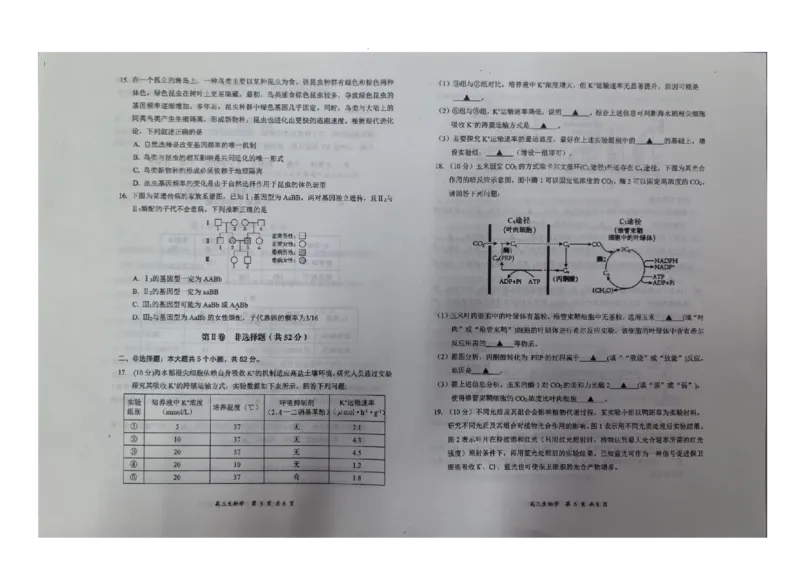 生物_2025年11月_251124山西省大同市2025-2026学年高三上学期期中考试（全科）_山西省大同市2025-2026学年高三上学期第二次学情调研测试生物试题（含答案）