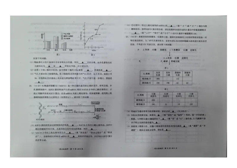 生物_2025年11月_251124山西省大同市2025-2026学年高三上学期期中考试（全科）_山西省大同市2025-2026学年高三上学期第二次学情调研测试生物试题（含答案）