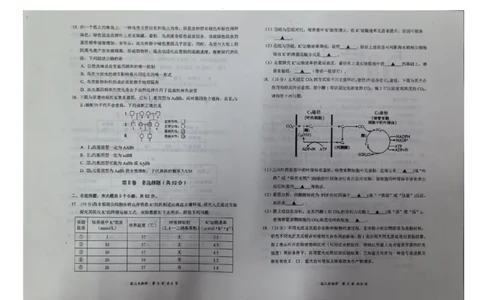生物_2025年11月_251124山西省大同市2025-2026学年高三上学期期中考试（全科）_山西省大同市2025-2026学年高三上学期第二次学情调研测试生物试题（含答案）