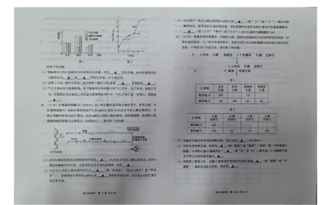生物_2025年11月_251124山西省大同市2025-2026学年高三上学期期中考试（全科）_山西省大同市2025-2026学年高三上学期第二次学情调研测试生物试题（含答案）
