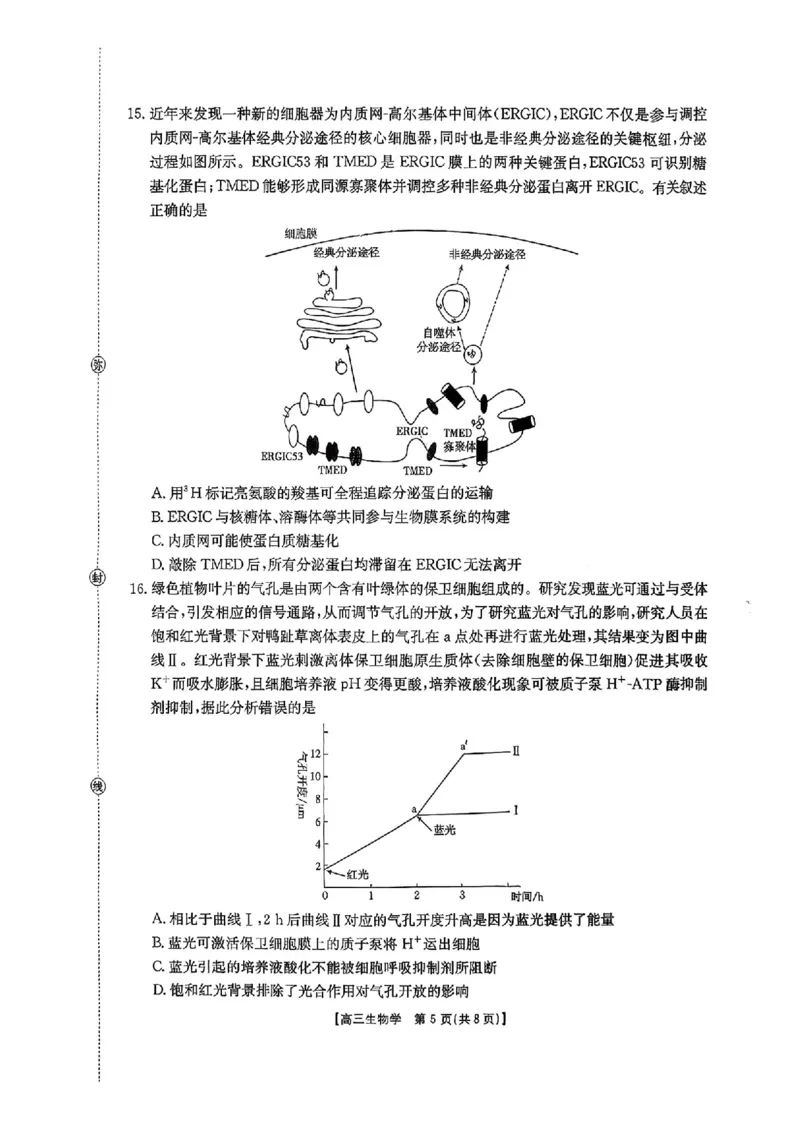 生物_2025年10月_12026年试卷教辅资源等多个文件_251024湖南2026届金太阳十月份高三年级阶段监测联合考试（全科）_湖南2026届金太阳十月份高三年级阶段监测联合考试生物试题+答案