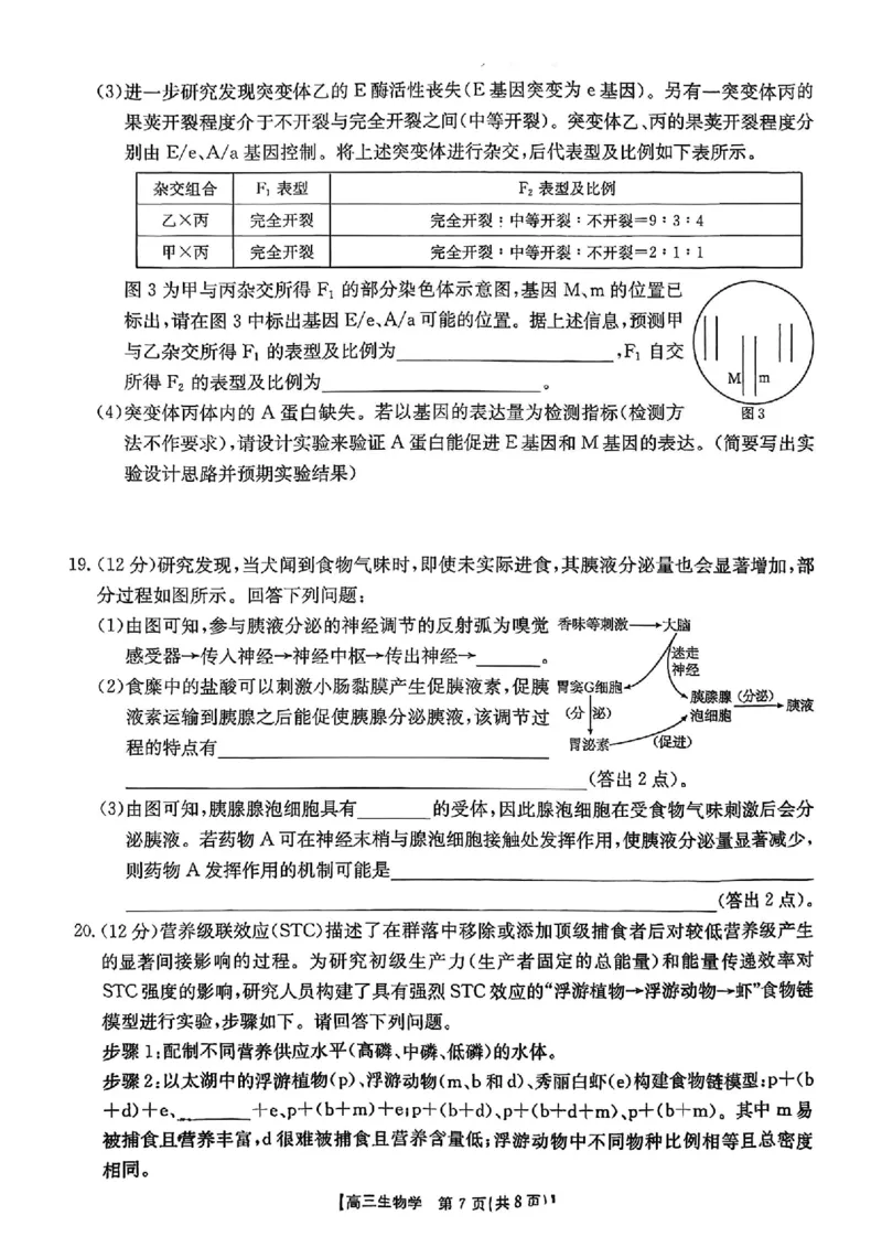 生物_2025年10月_12026年试卷教辅资源等多个文件_251024湖南2026届金太阳十月份高三年级阶段监测联合考试（全科）_湖南2026届金太阳十月份高三年级阶段监测联合考试生物试题+答案