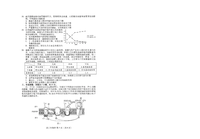 山东省潍坊市2025届高三高考模拟考试生物_2025年5月_0501山东省潍坊市2025届高三高考模拟考试（潍坊二模）（全科）_山东省潍坊市2025届高三高考模拟考试生物