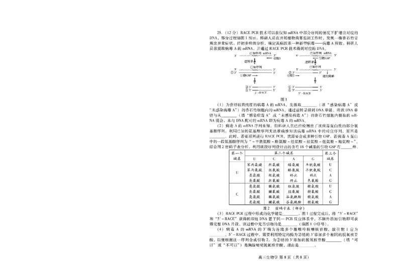 山东省潍坊市2025届高三高考模拟考试生物_2025年5月_0501山东省潍坊市2025届高三高考模拟考试（潍坊二模）（全科）_山东省潍坊市2025届高三高考模拟考试生物