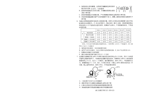 山东省潍坊市2025届高三高考模拟考试生物_2025年5月_0501山东省潍坊市2025届高三高考模拟考试（潍坊二模）（全科）_山东省潍坊市2025届高三高考模拟考试生物