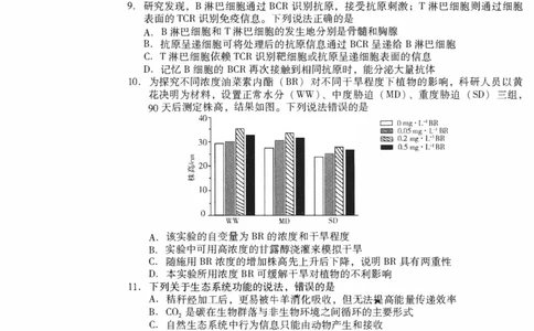 山东省潍坊市2025届高三高考模拟考试生物_2025年5月_0501山东省潍坊市2025届高三高考模拟考试（潍坊二模）（全科）_山东省潍坊市2025届高三高考模拟考试生物