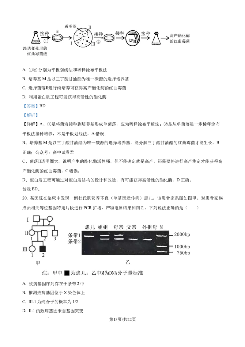 精品解析：2026届黑龙江省大庆市高三第一次质量检测生物试题（解析版）_2025年9月_2509142026届黑龙江省大庆市第一次教学质量检测（全科）