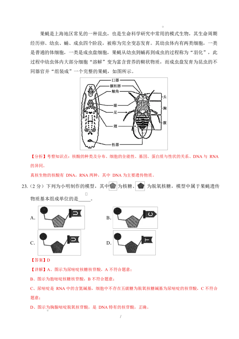 高二生物上学期第一次月考（上海专用）（全解全析）_1多考区联考试卷_2510142025-2026学年高二生物上学期第一次月考试题