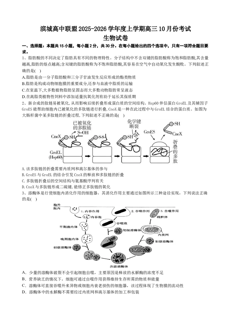 滨城高中联盟2025-2026学年度上学期高三10月份考试_2025年10月_12026年试卷教辅资源等多个文件_251031辽宁省大连市滨城高中联盟2026届高三上学期10月份月考（期中）