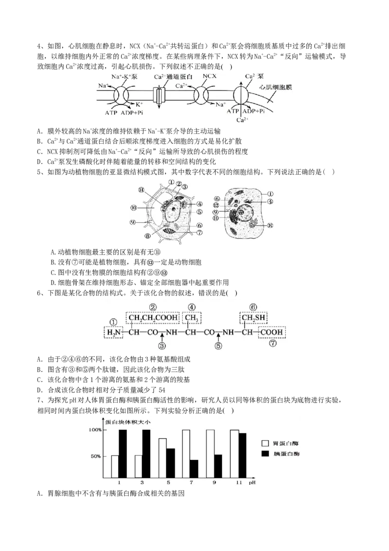 滨城高中联盟2025-2026学年度上学期高三10月份考试_2025年10月_12026年试卷教辅资源等多个文件_251031辽宁省大连市滨城高中联盟2026届高三上学期10月份月考（期中）