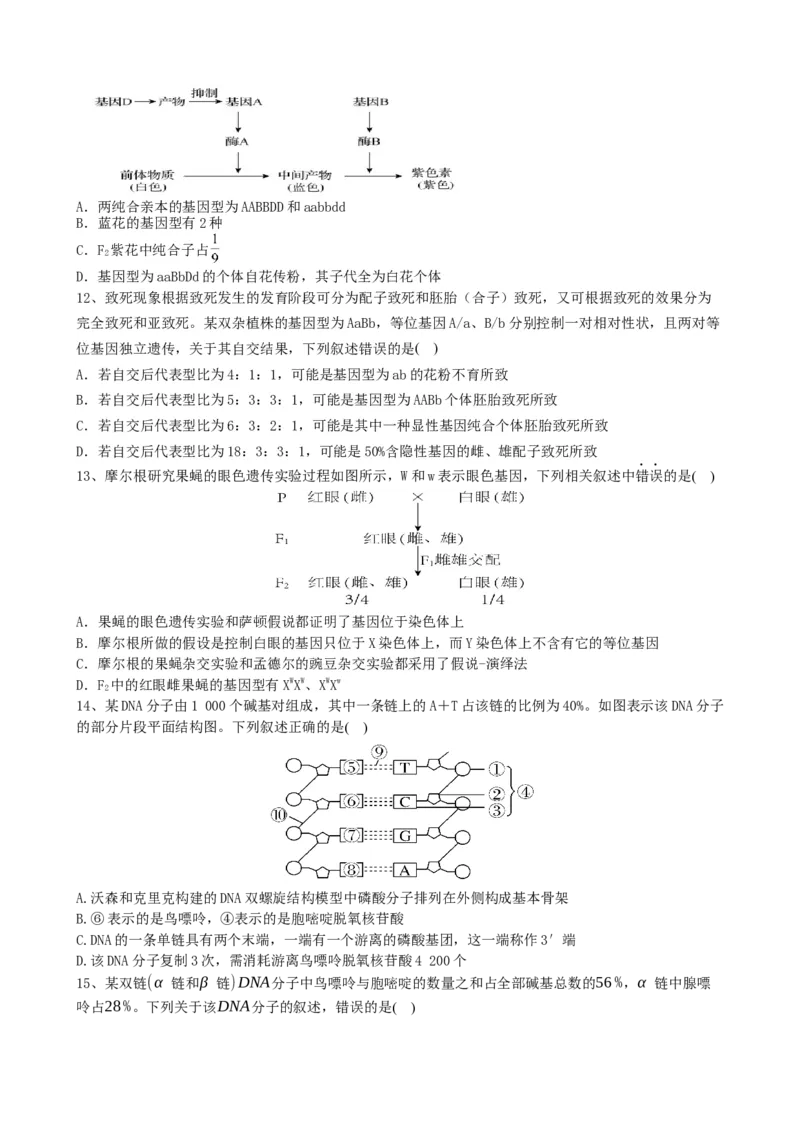 滨城高中联盟2025-2026学年度上学期高三10月份考试_2025年10月_12026年试卷教辅资源等多个文件_251031辽宁省大连市滨城高中联盟2026届高三上学期10月份月考（期中）