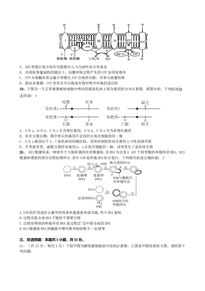 滨城高中联盟2025-2026学年度上学期高三10月份考试_2025年10月_12026年试卷教辅资源等多个文件_251031辽宁省大连市滨城高中联盟2026届高三上学期10月份月考（期中）
