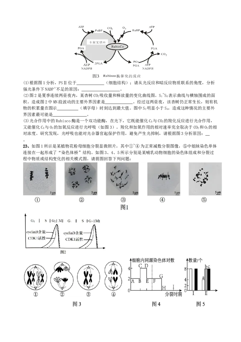 滨城高中联盟2025-2026学年度上学期高三10月份考试_2025年10月_12026年试卷教辅资源等多个文件_251031辽宁省大连市滨城高中联盟2026届高三上学期10月份月考（期中）