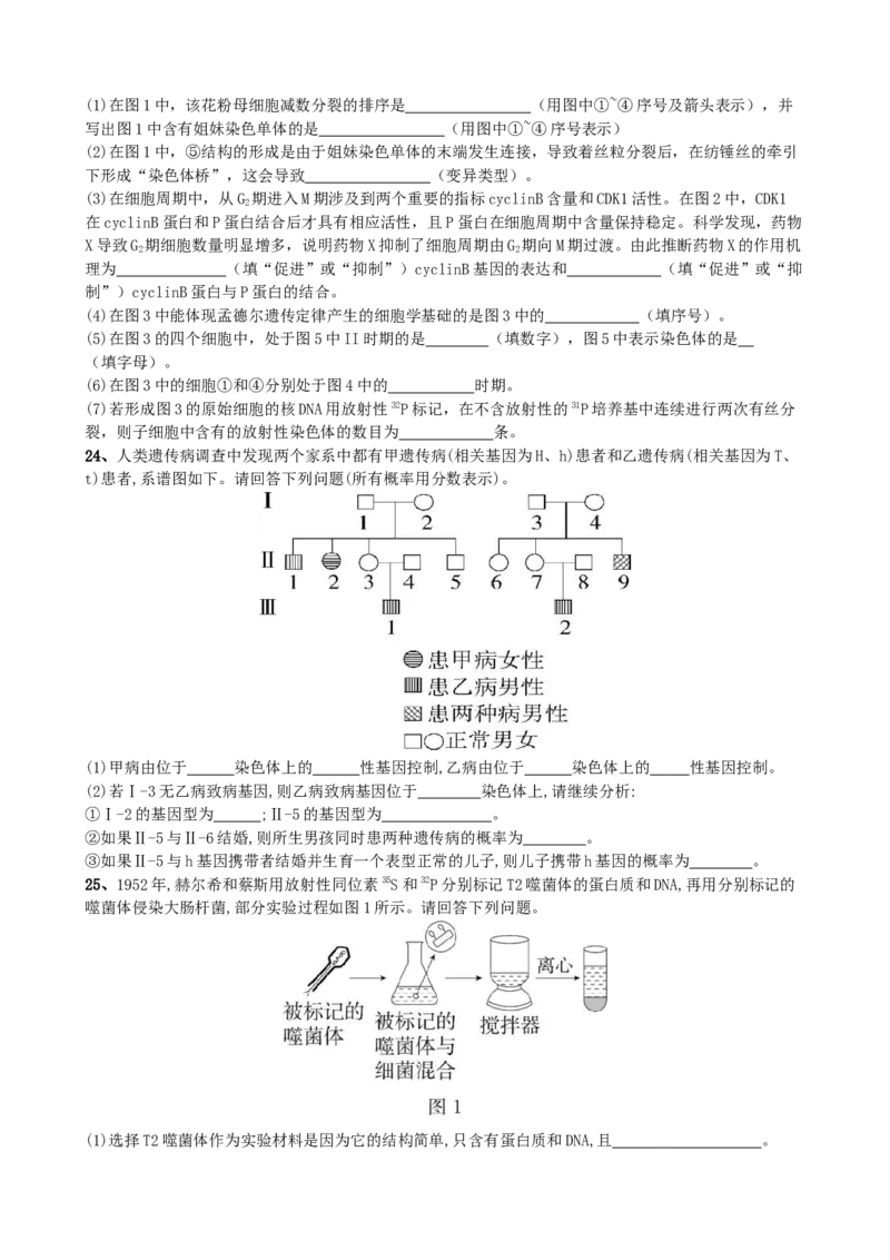 滨城高中联盟2025-2026学年度上学期高三10月份考试_2025年10月_12026年试卷教辅资源等多个文件_251031辽宁省大连市滨城高中联盟2026届高三上学期10月份月考（期中）