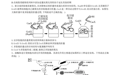 滨城高中联盟2025-2026学年度上学期高三10月份考试_2025年10月_12026年试卷教辅资源等多个文件_251031辽宁省大连市滨城高中联盟2026届高三上学期10月份月考（期中）