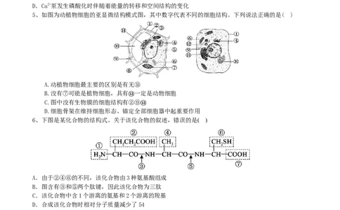 滨城高中联盟2025-2026学年度上学期高三10月份考试_2025年10月_12026年试卷教辅资源等多个文件_251031辽宁省大连市滨城高中联盟2026届高三上学期10月份月考（期中）