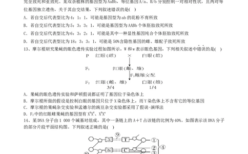 滨城高中联盟2025-2026学年度上学期高三10月份考试_2025年10月_12026年试卷教辅资源等多个文件_251031辽宁省大连市滨城高中联盟2026届高三上学期10月份月考（期中）