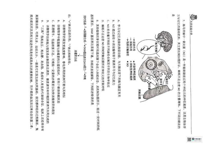 生物学试题_2025年5月_250520黑龙江省大庆实验中学二部2025届高三下学期得分训练（四）_2025届黑龙江省大庆实验中学高三下学期得分训练四生物试题_生物