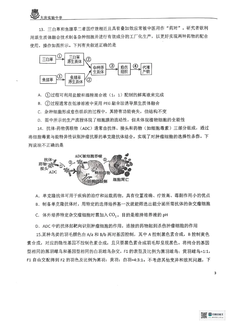 生物学试题_2025年5月_250520黑龙江省大庆实验中学二部2025届高三下学期得分训练（四）_2025届黑龙江省大庆实验中学高三下学期得分训练四生物试题_生物