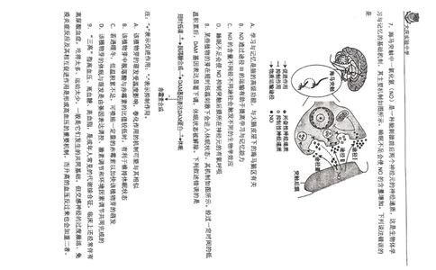 生物学试题_2025年5月_250520黑龙江省大庆实验中学二部2025届高三下学期得分训练（四）_2025届黑龙江省大庆实验中学高三下学期得分训练四生物试题_生物