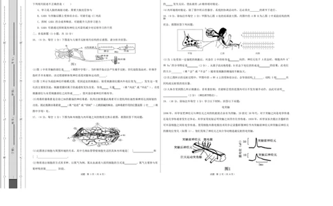 高二生物第一次月考卷单选版测试范围：人教版2019选择性必修1第1章~第2章（考试版A3）_1多考区联考试卷_2510142025-2026学年高二生物上学期第一次月考试题